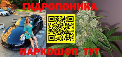 spice Заволжье