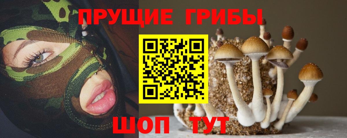 Лангепас  Псилоцибиновые грибы Psilocybe  Псилоцибиновые грибы мицелий  Вход с VPN 